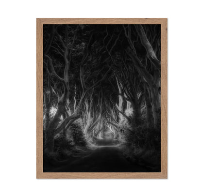 Dark Forest Tunnel
