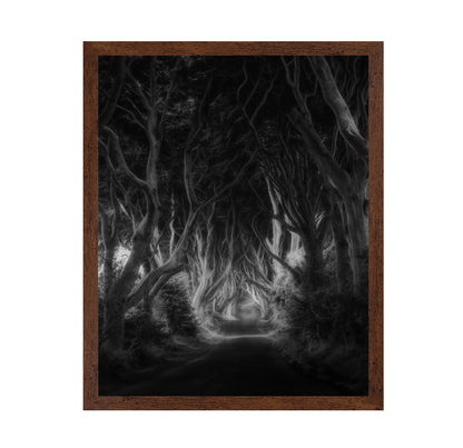 Dark Forest Tunnel