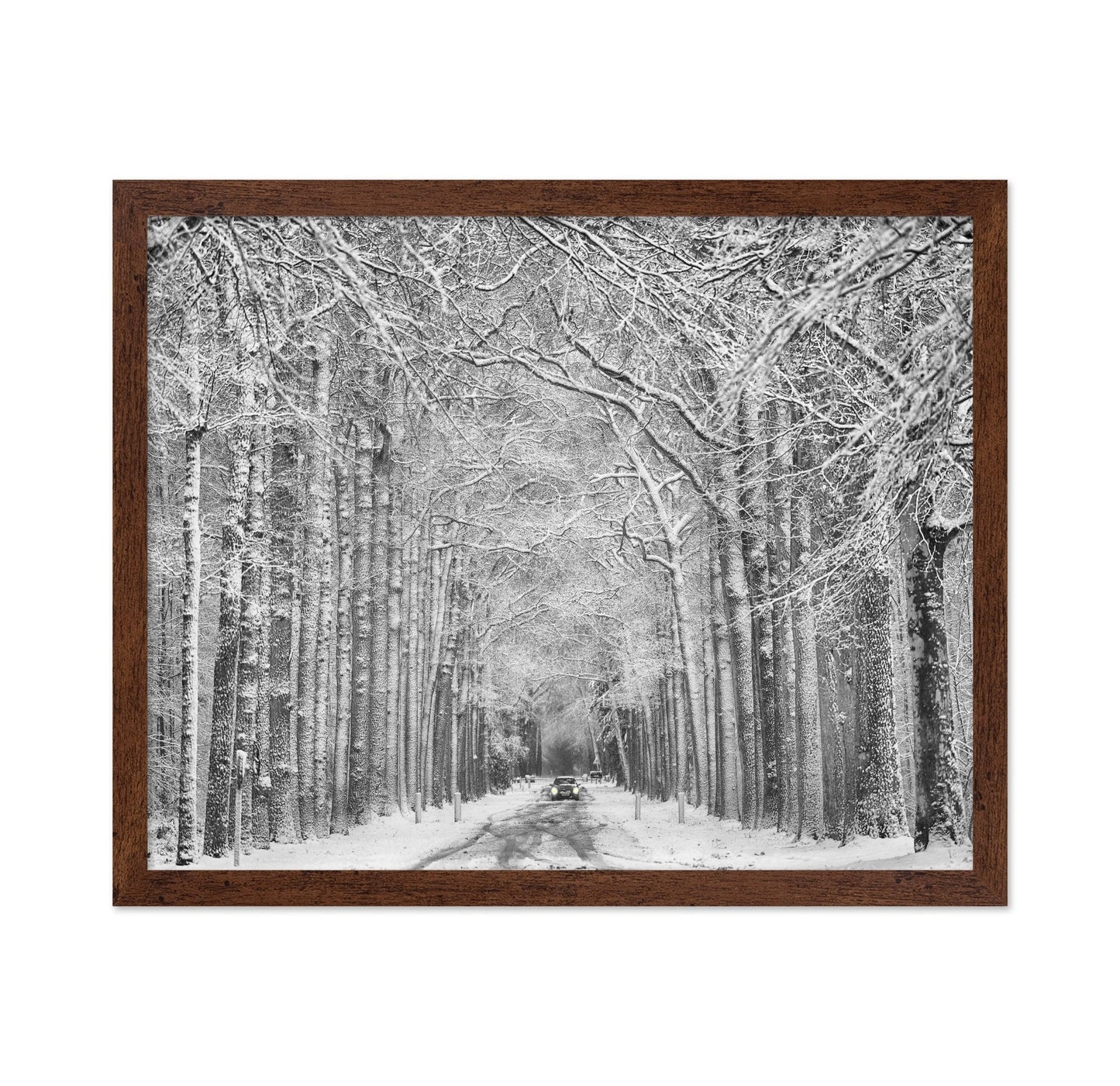 Snowy Forest Road