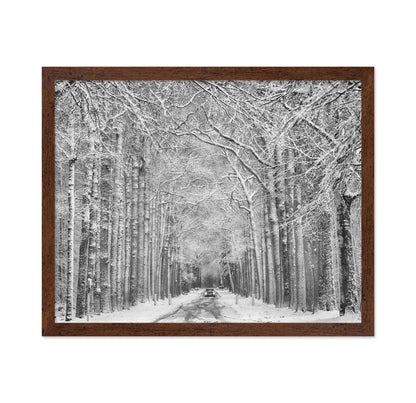 Snowy Forest Road