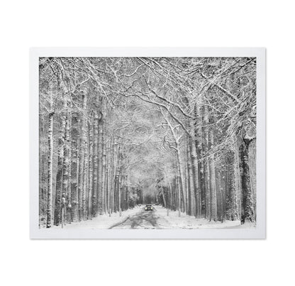 Snowy Forest Road