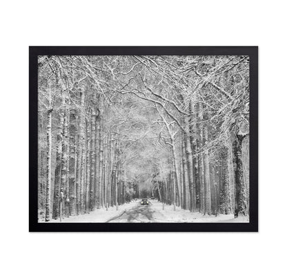 Snowy Forest Road