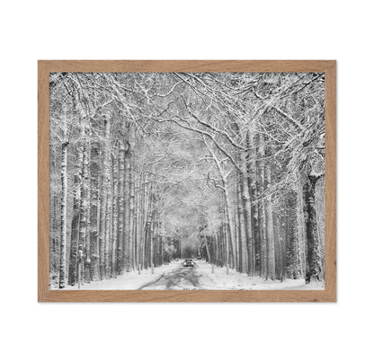 Snowy Forest Road