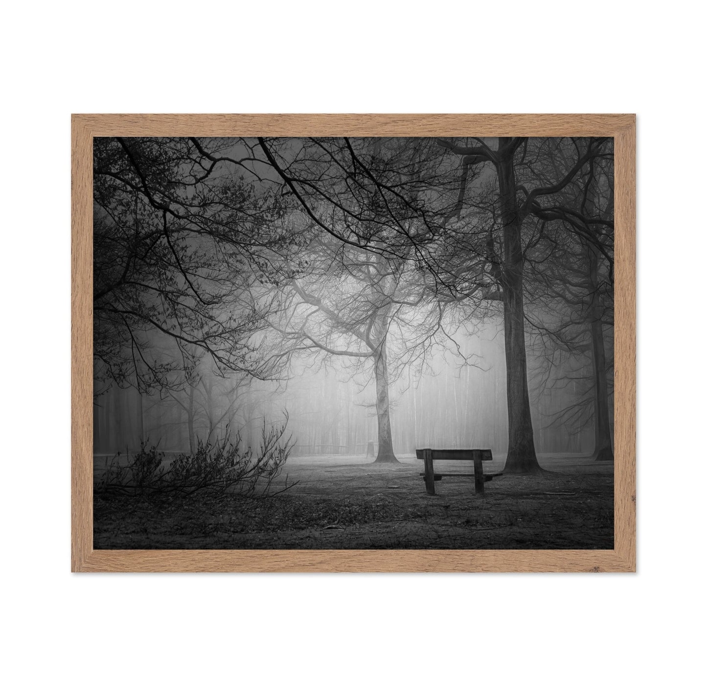 Foggy Forest Bench