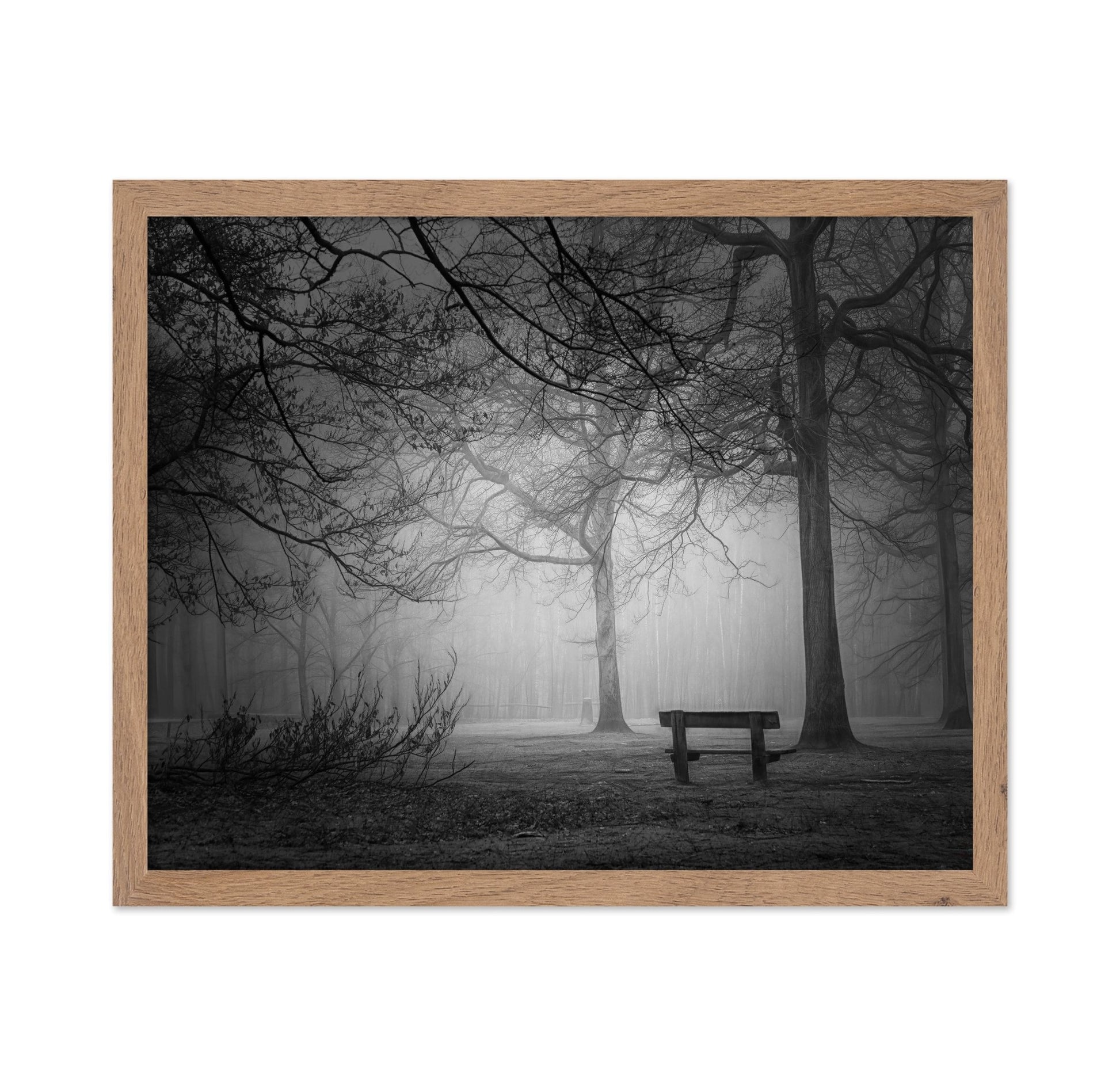 Foggy Forest Bench