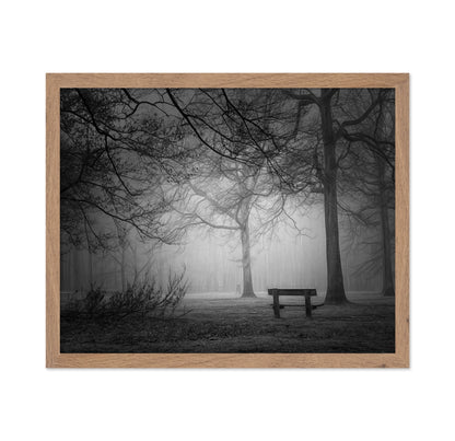 Foggy Forest Bench