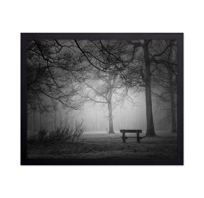 Foggy Forest Bench