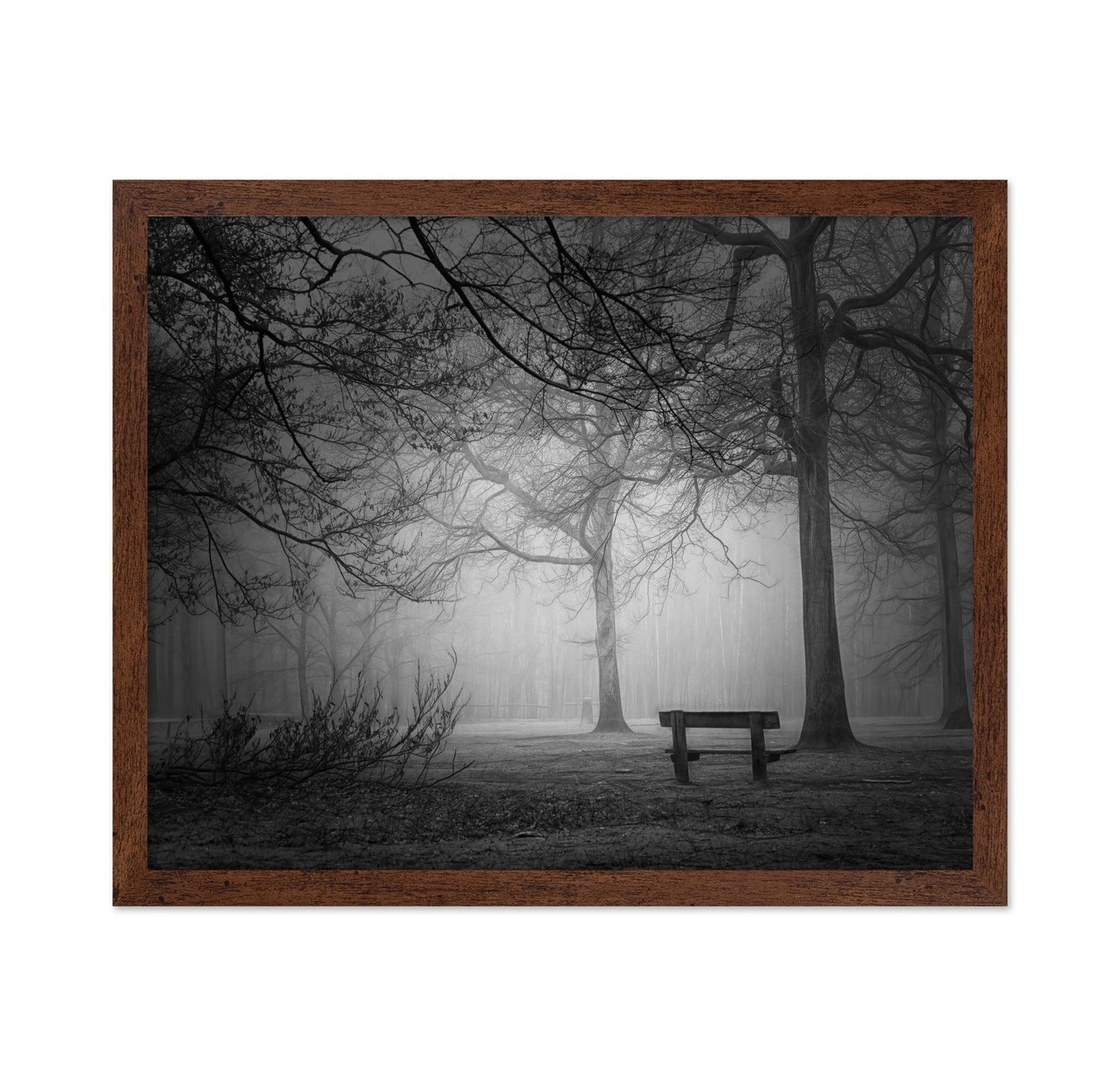 Foggy Forest Bench