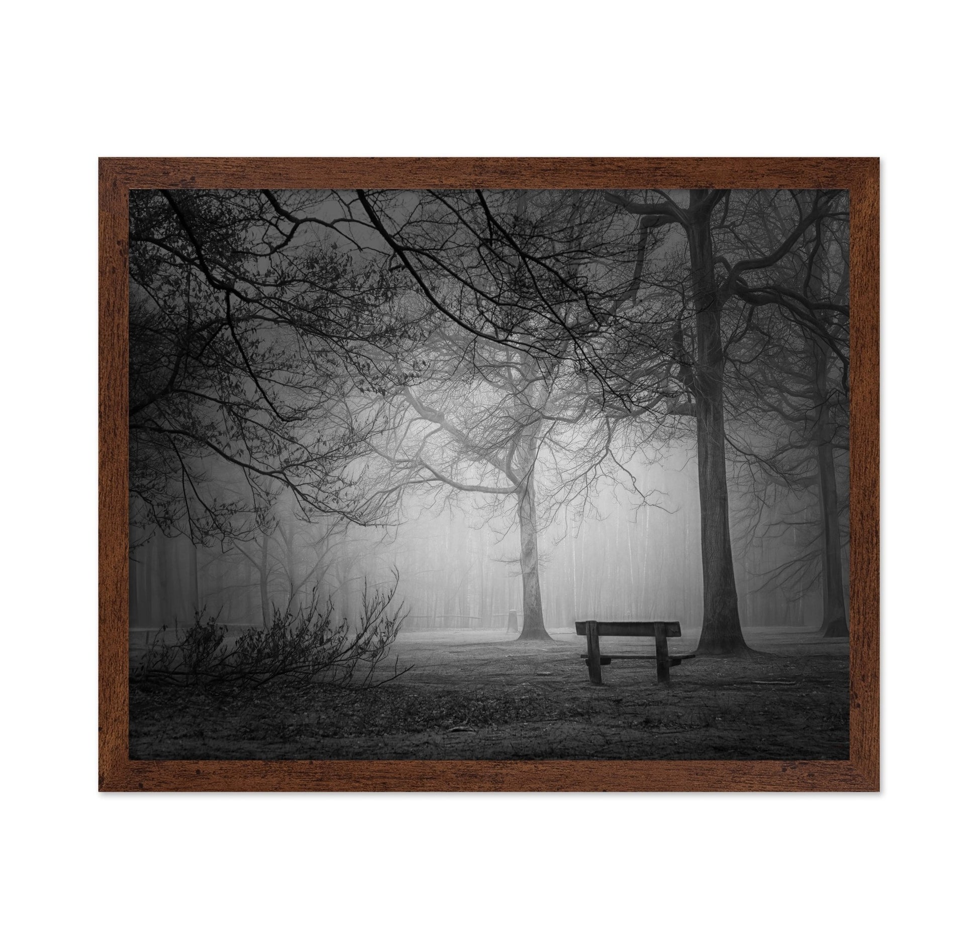 Foggy Forest Bench