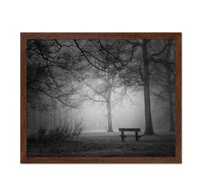 Foggy Forest Bench