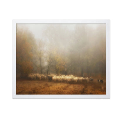 Misty Sheep Herd