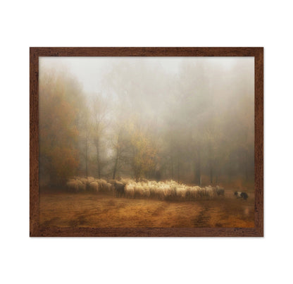 Misty Sheep Herd