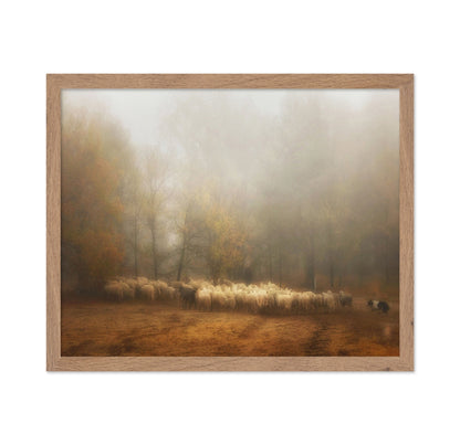 Misty Sheep Herd