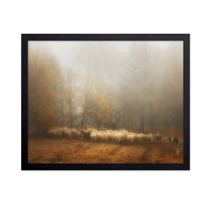 Misty Sheep Herd