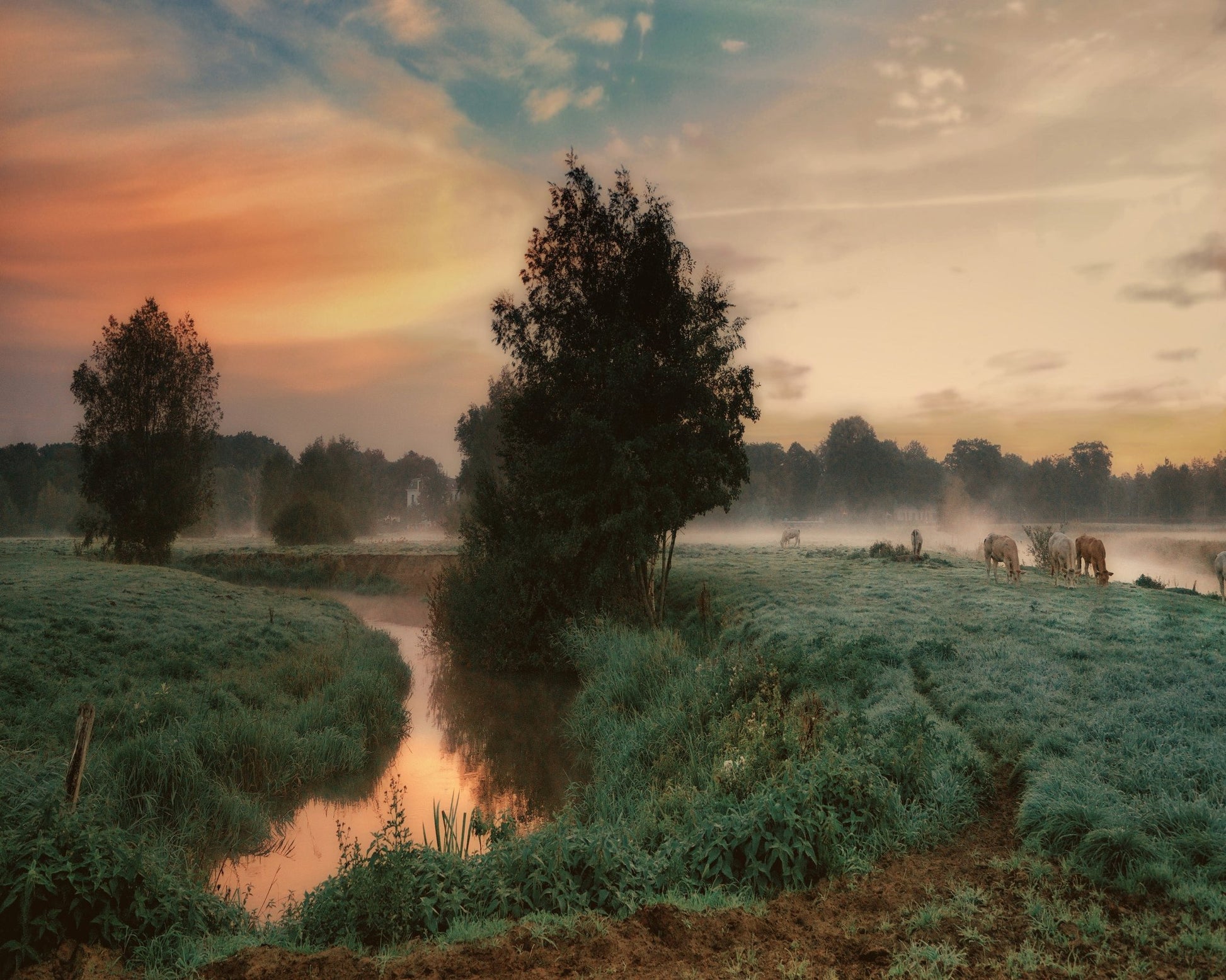 Misty Pasture Sunrise