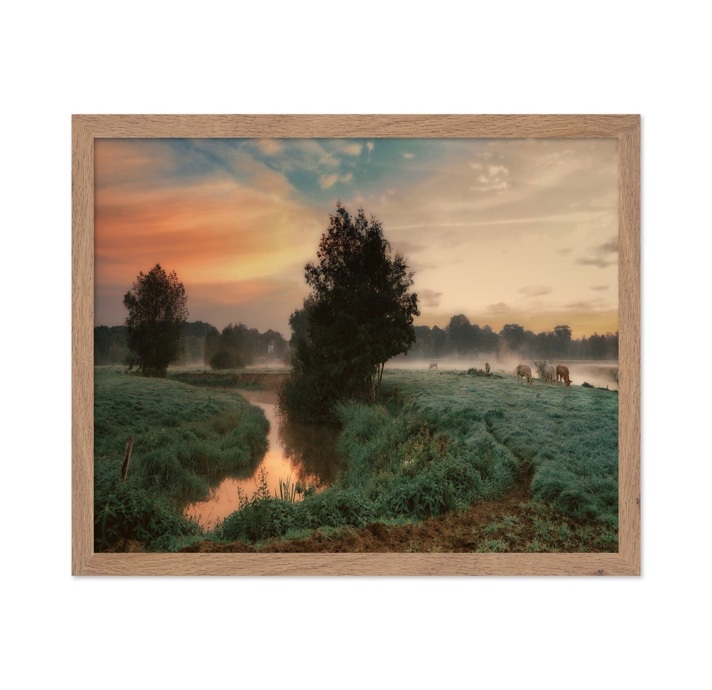 Misty Pasture Sunrise