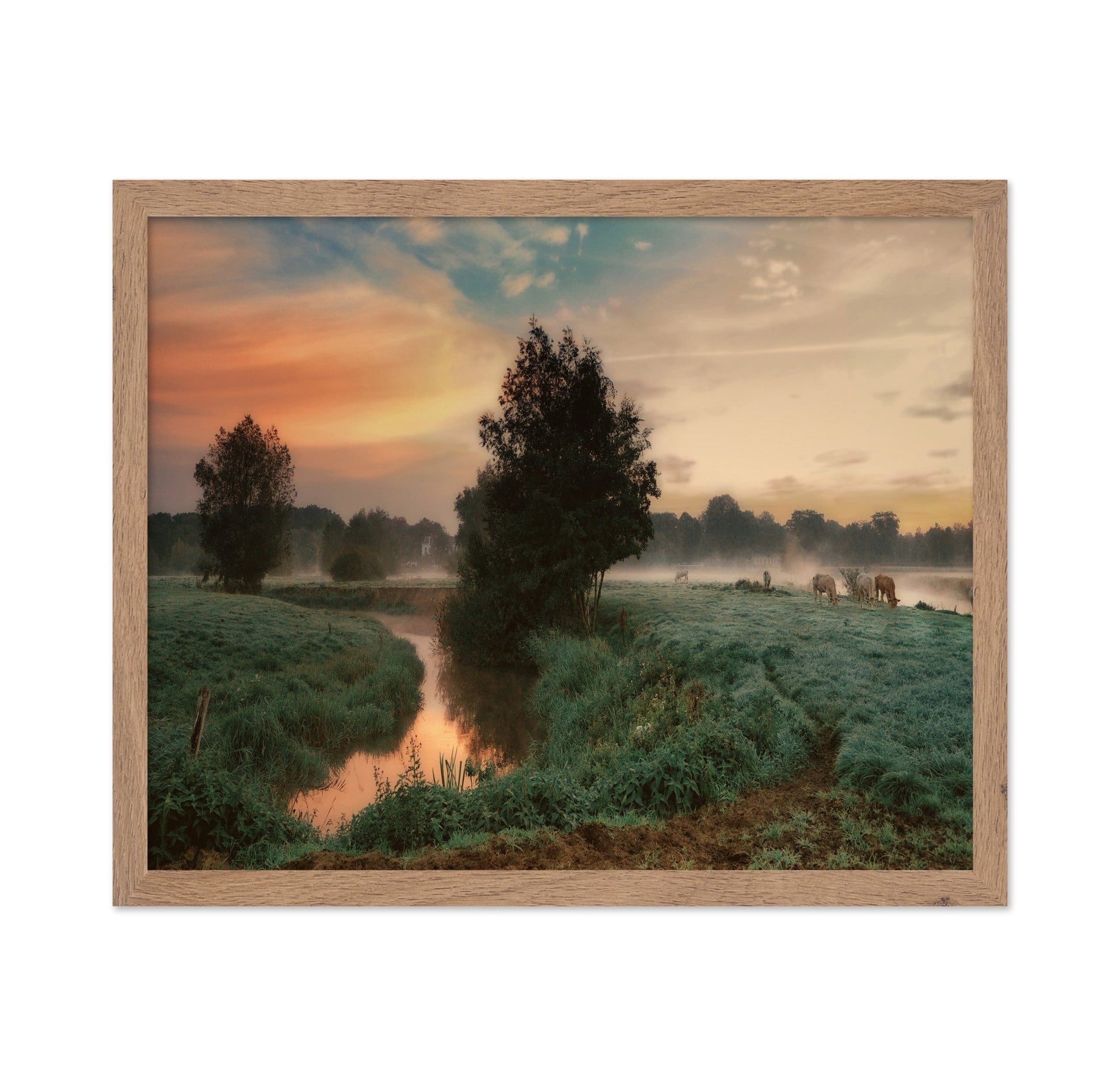 Misty Pasture Sunrise