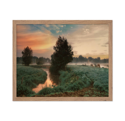Misty Pasture Sunrise