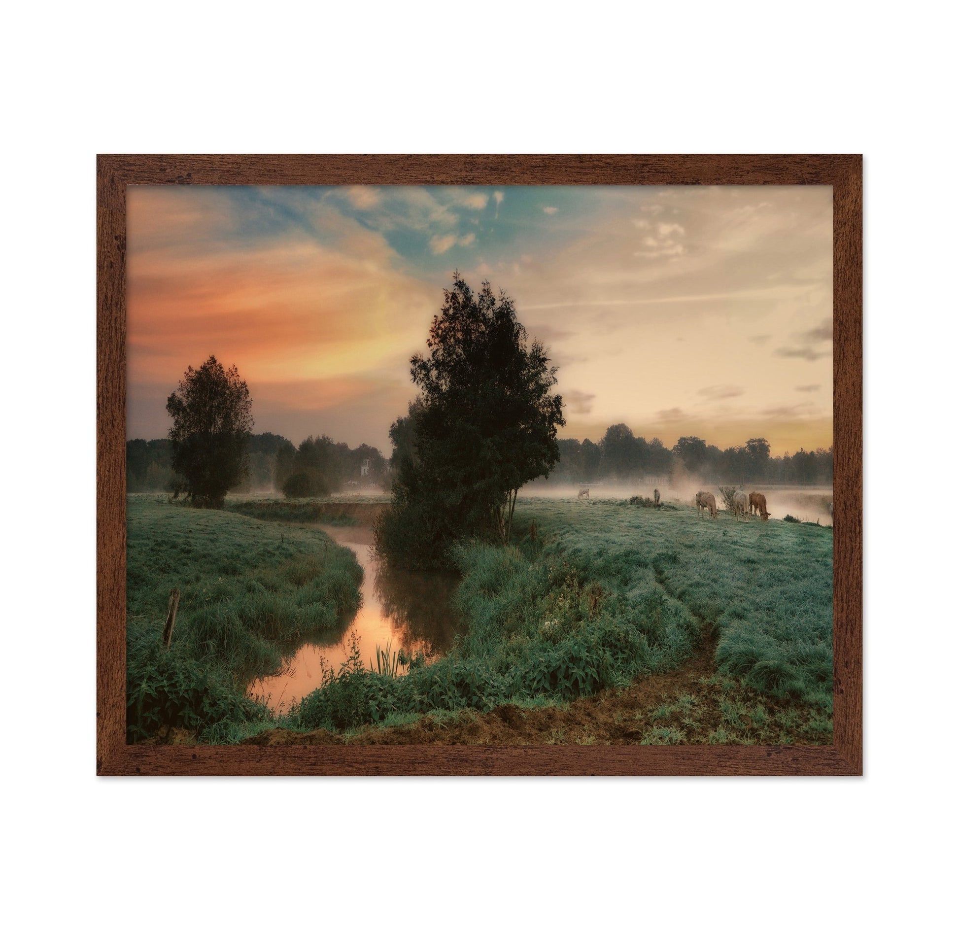 Misty Pasture Sunrise