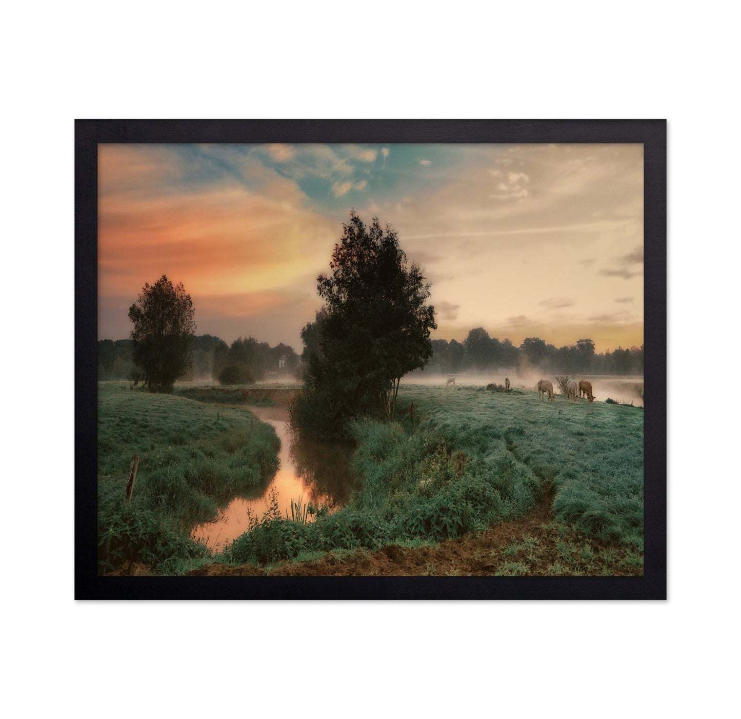 Misty Pasture Sunrise