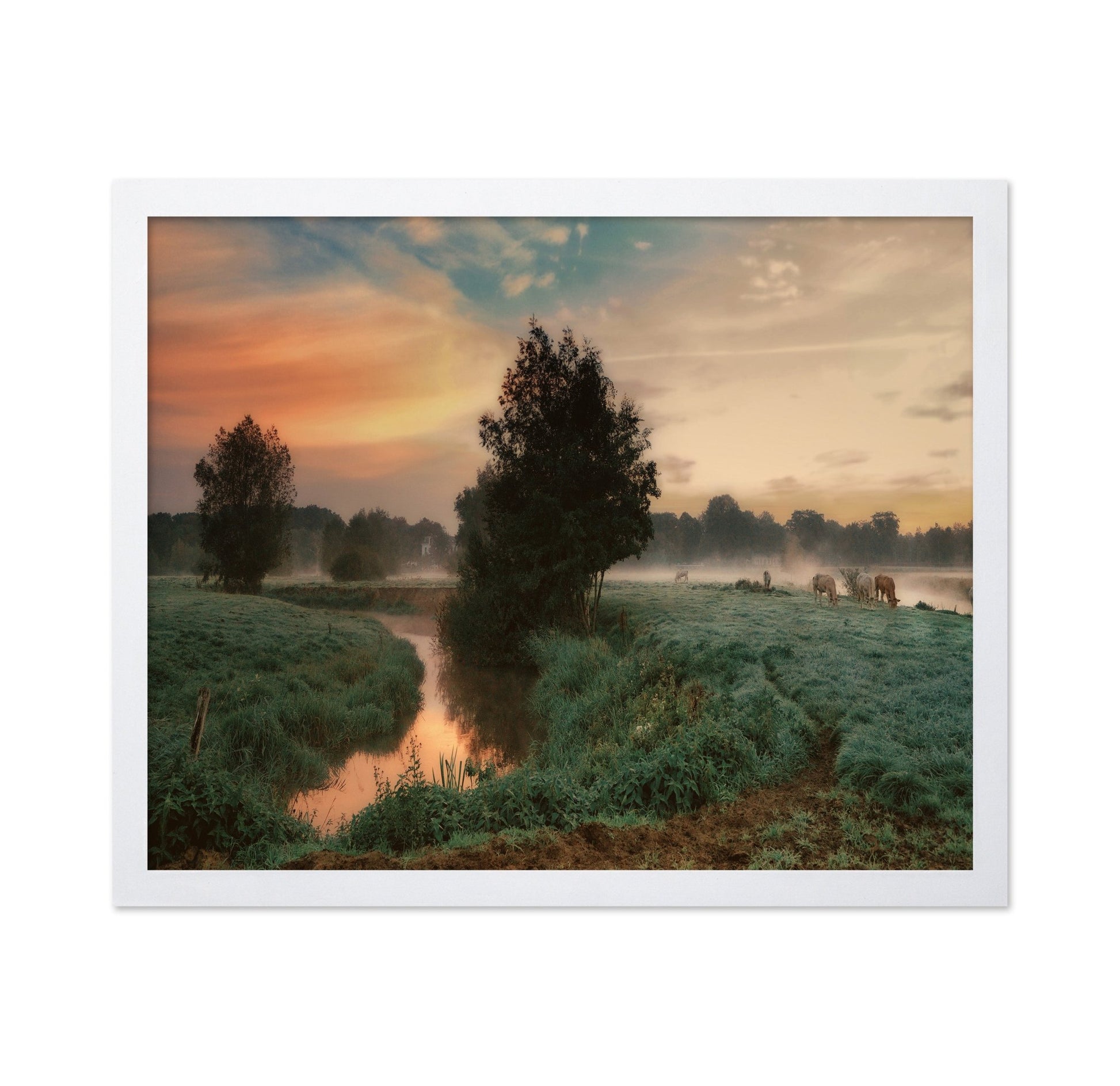Misty Pasture Sunrise