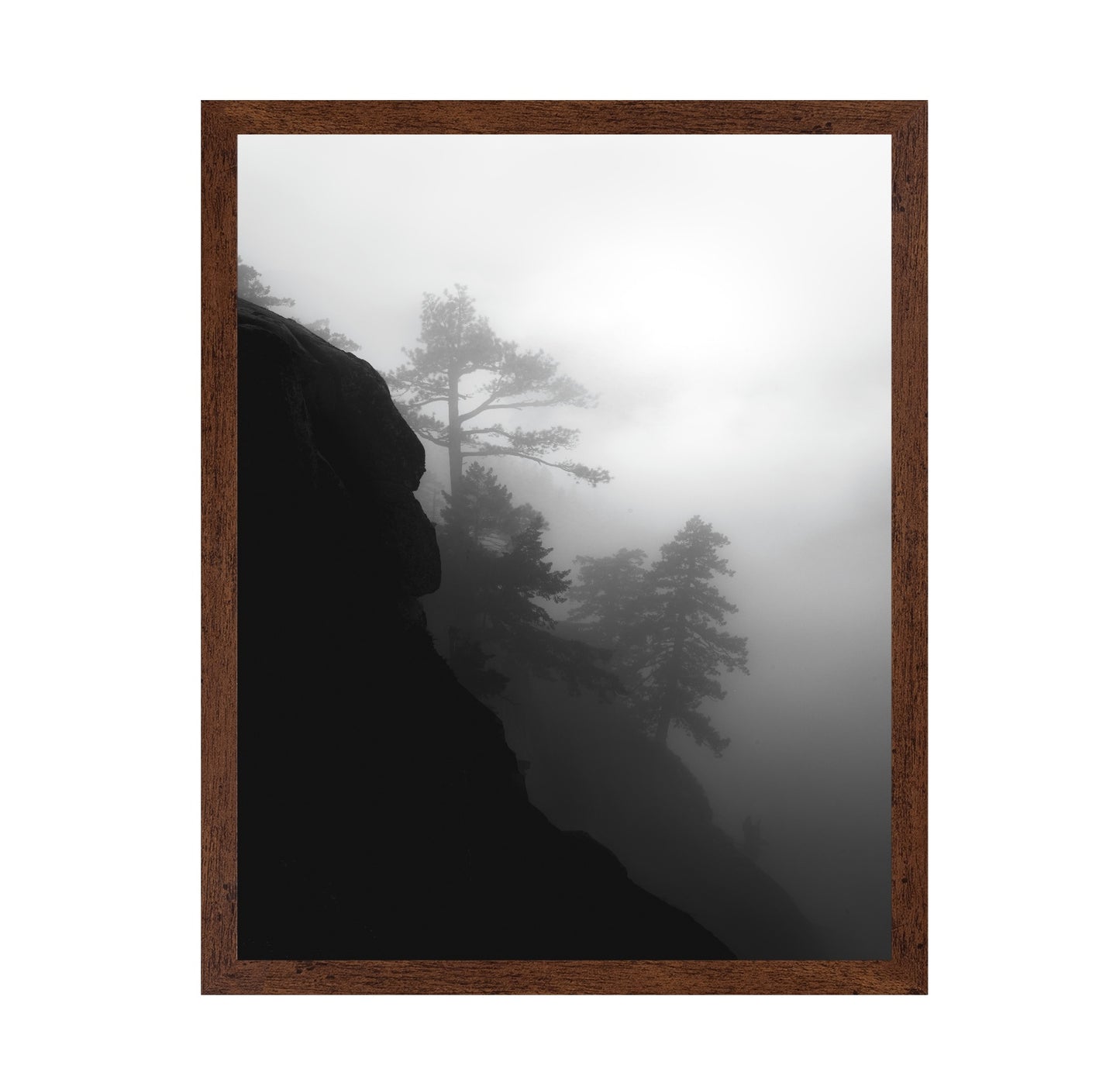Foggy Cliff Pines
