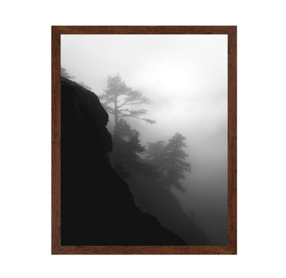 Foggy Cliff Pines