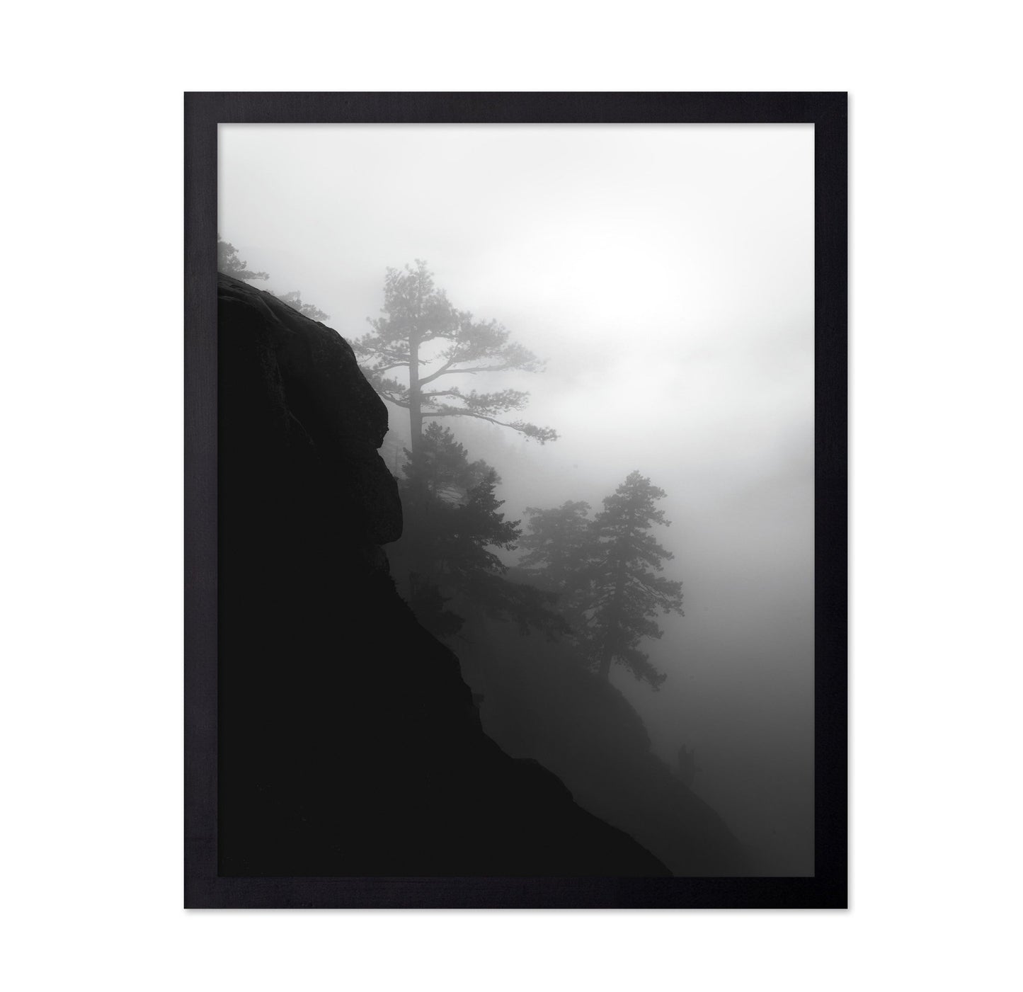 Foggy Cliff Pines