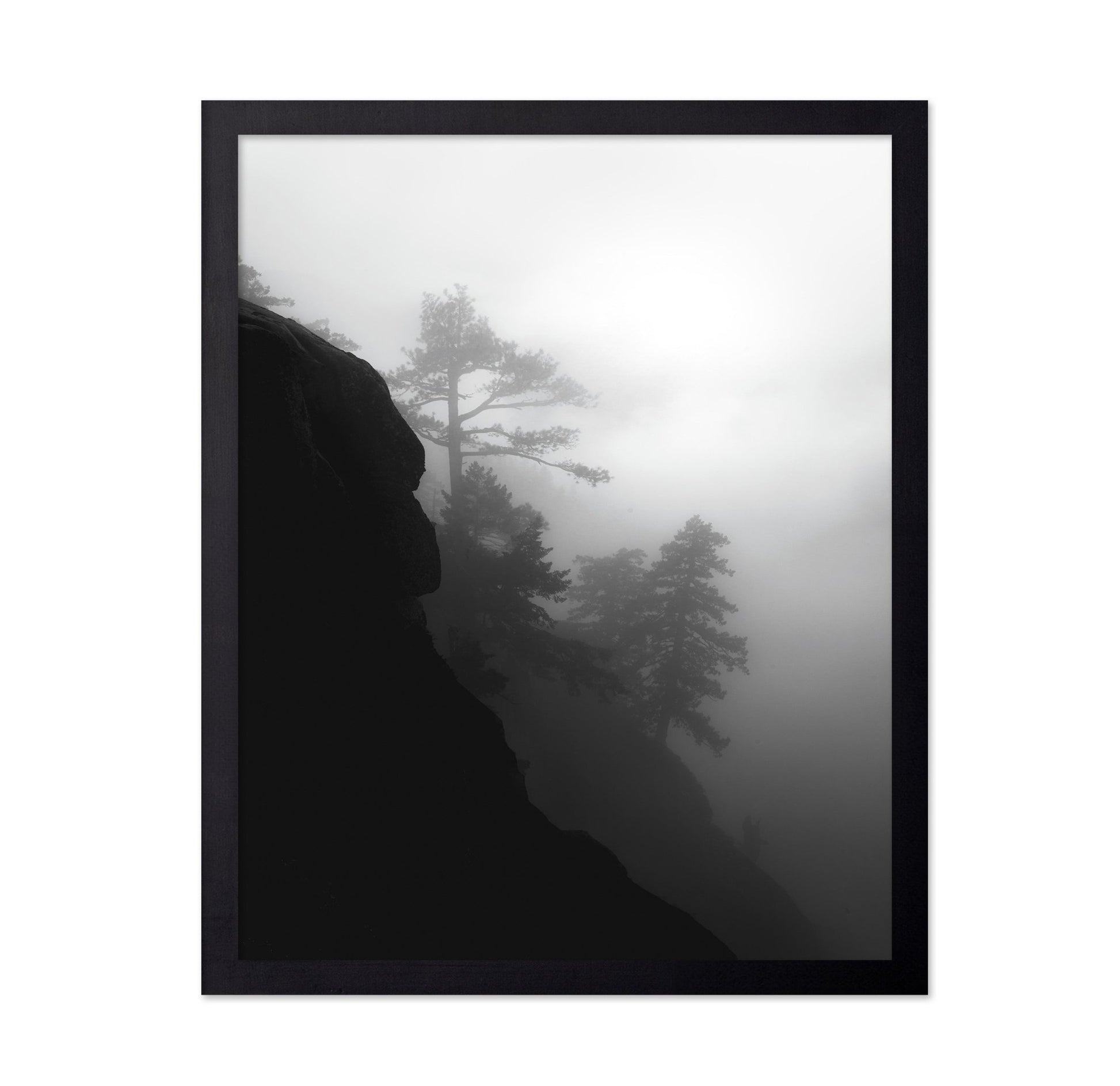 Foggy Cliff Pines