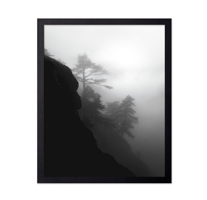 Foggy Cliff Pines
