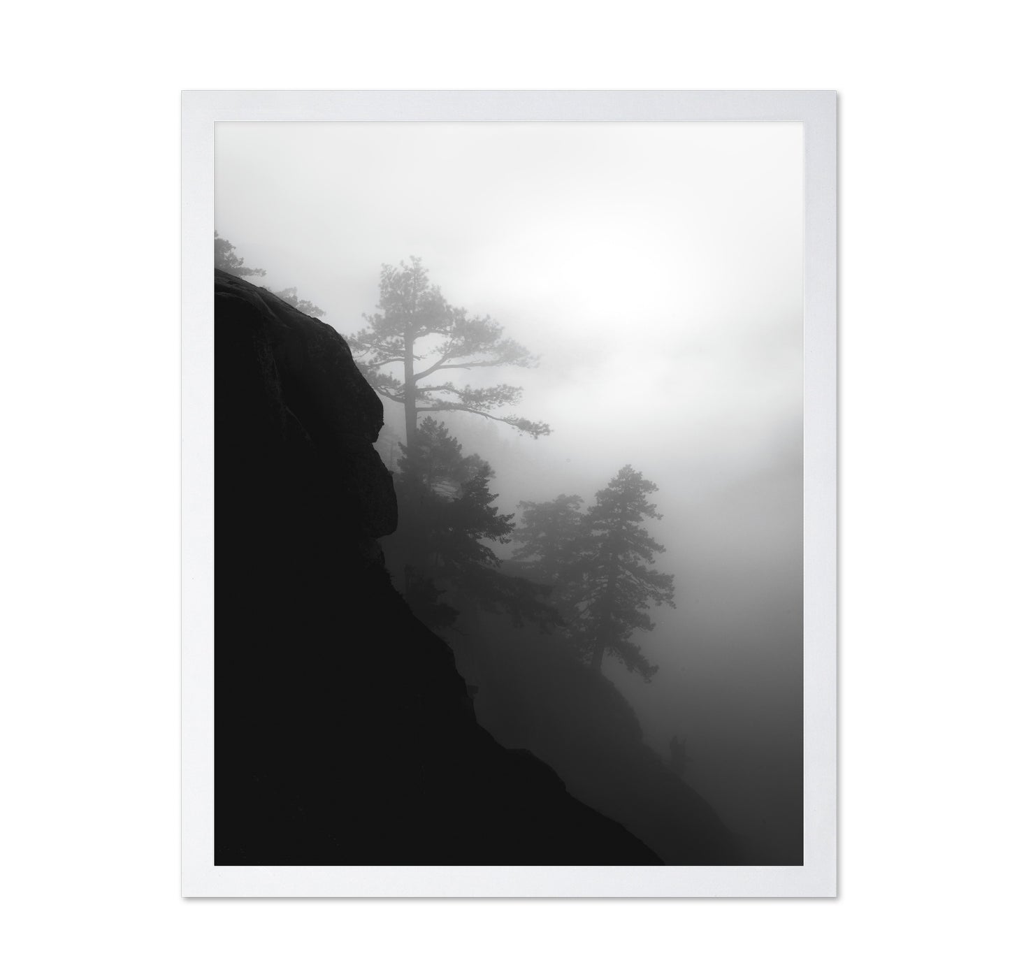 Foggy Cliff Pines