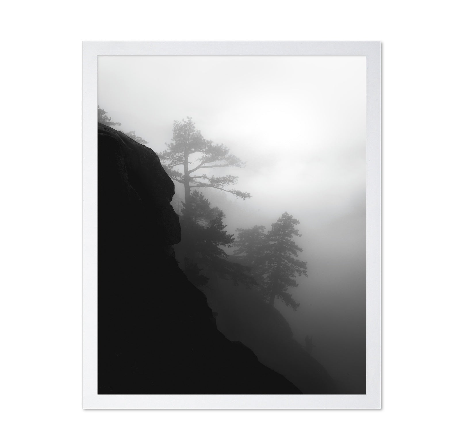 Foggy Cliff Pines
