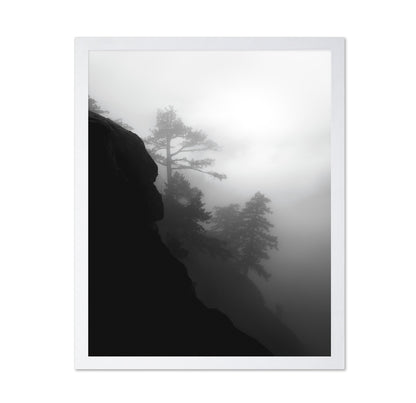 Foggy Cliff Pines