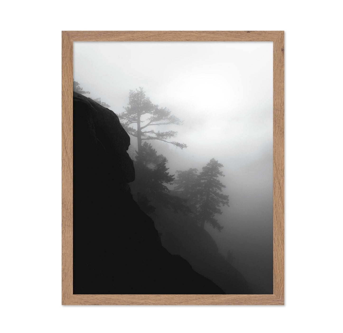 Foggy Cliff Pines