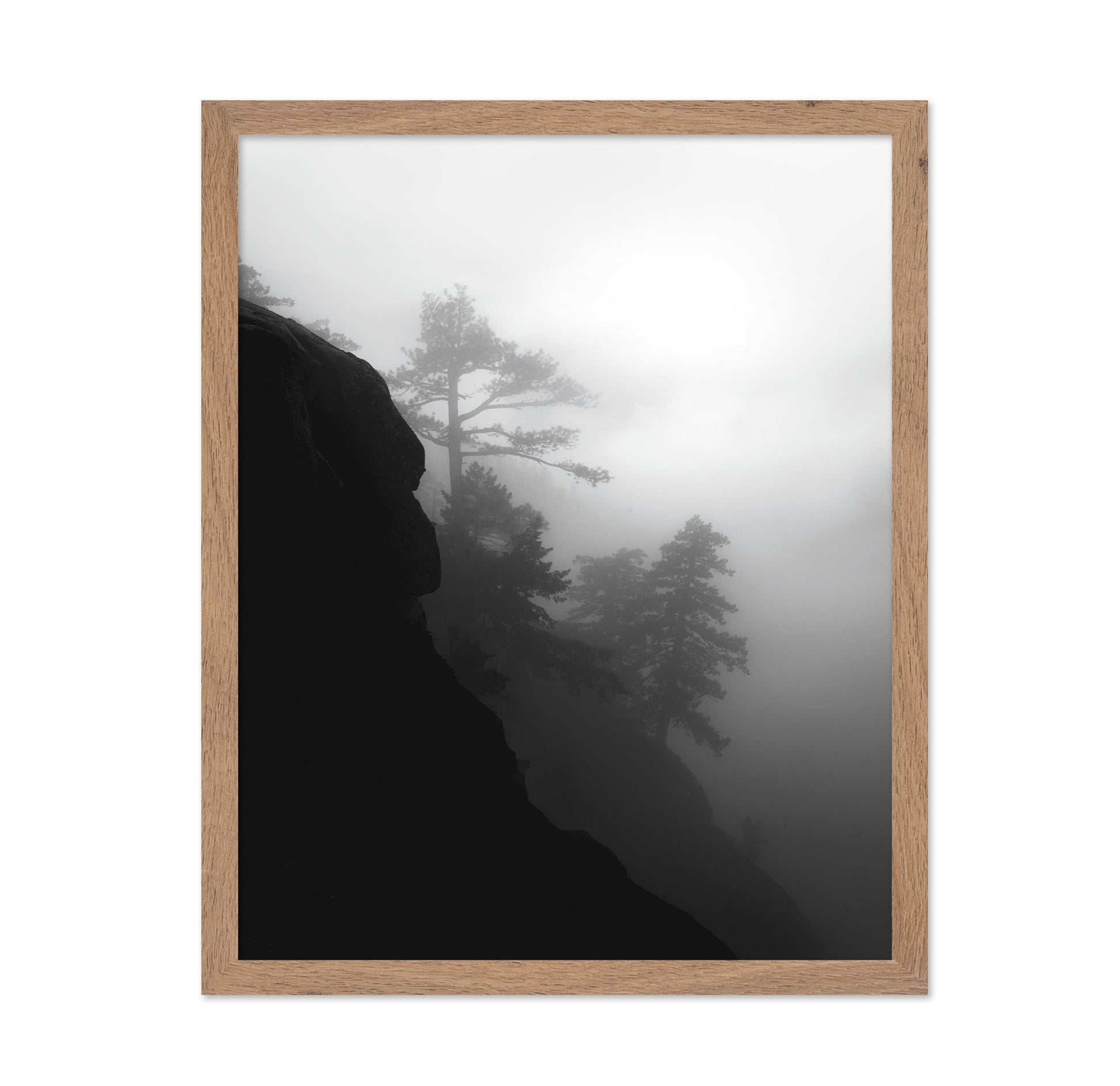 Foggy Cliff Pines