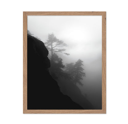Foggy Cliff Pines