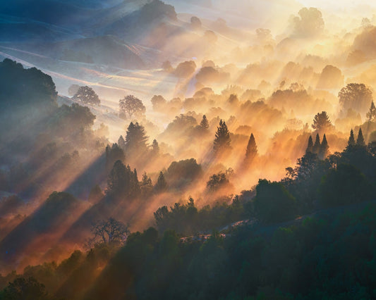 Golden Valley Light