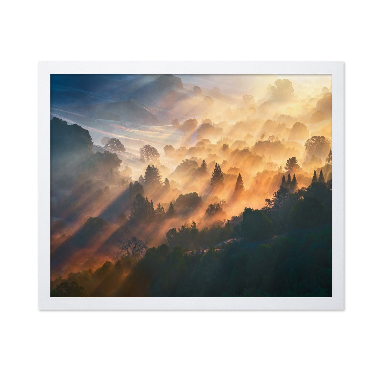 Golden Valley Light
