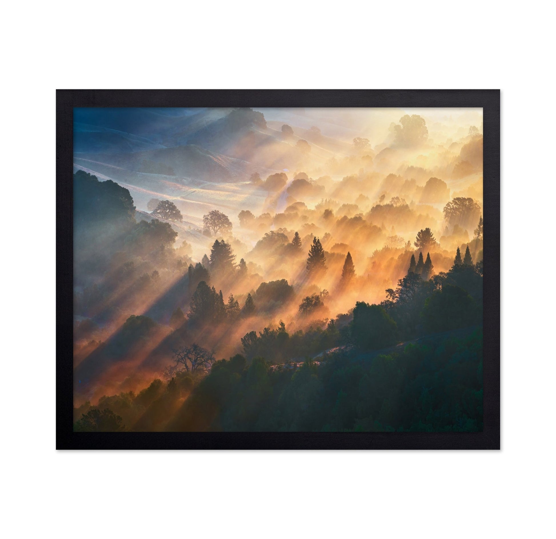 Golden Valley Light