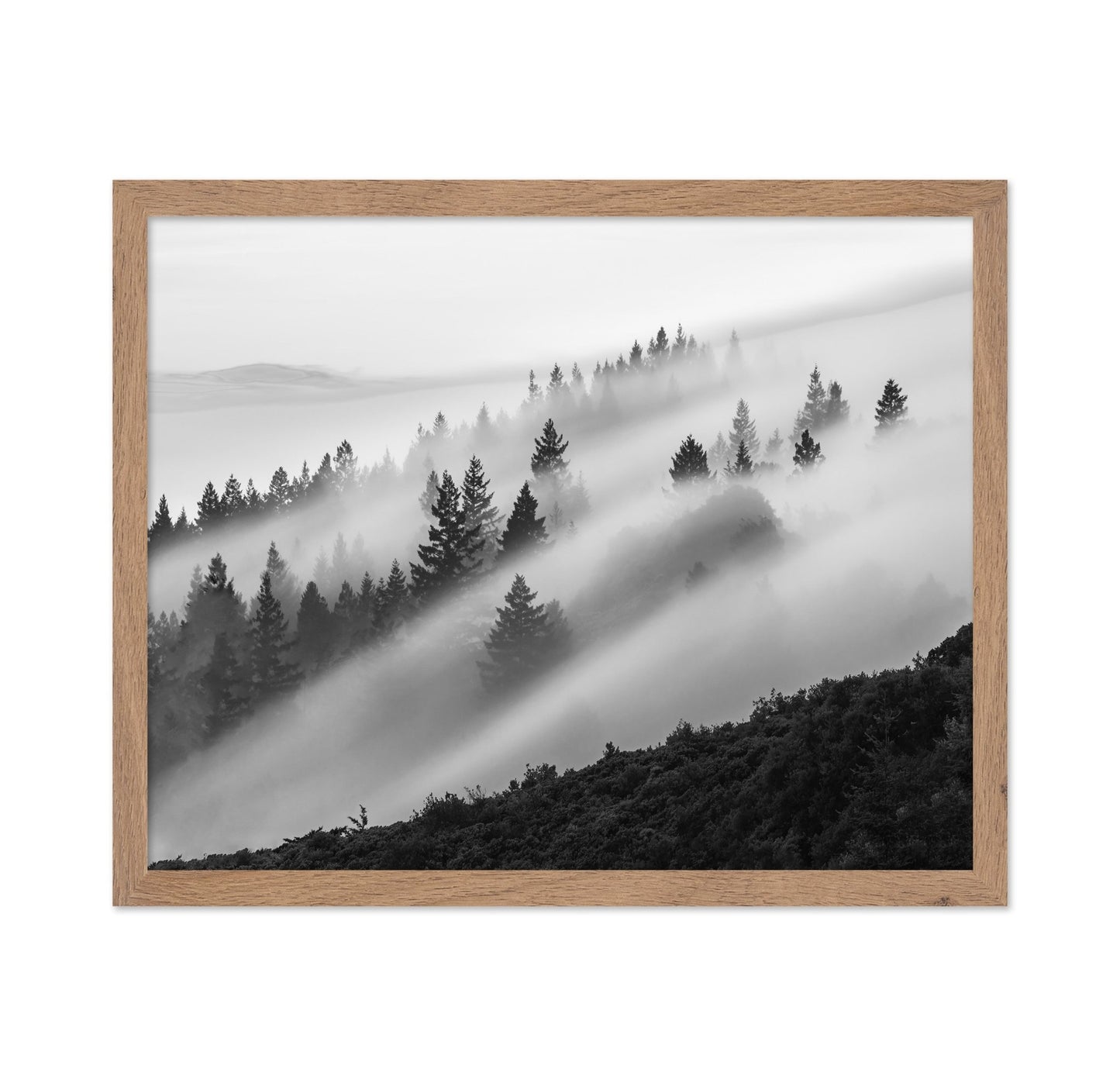 Misty Mountain Pines