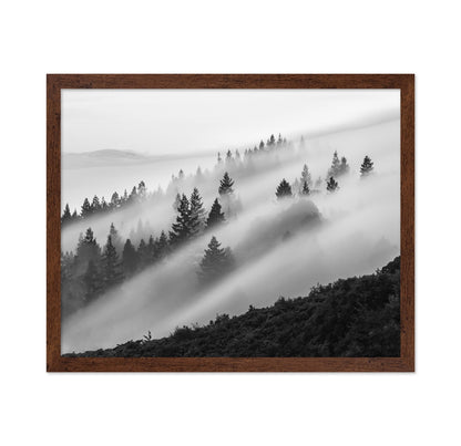 Misty Mountain Pines