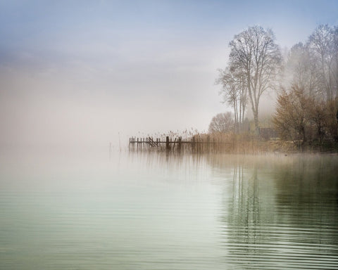 Misty Lake Shore