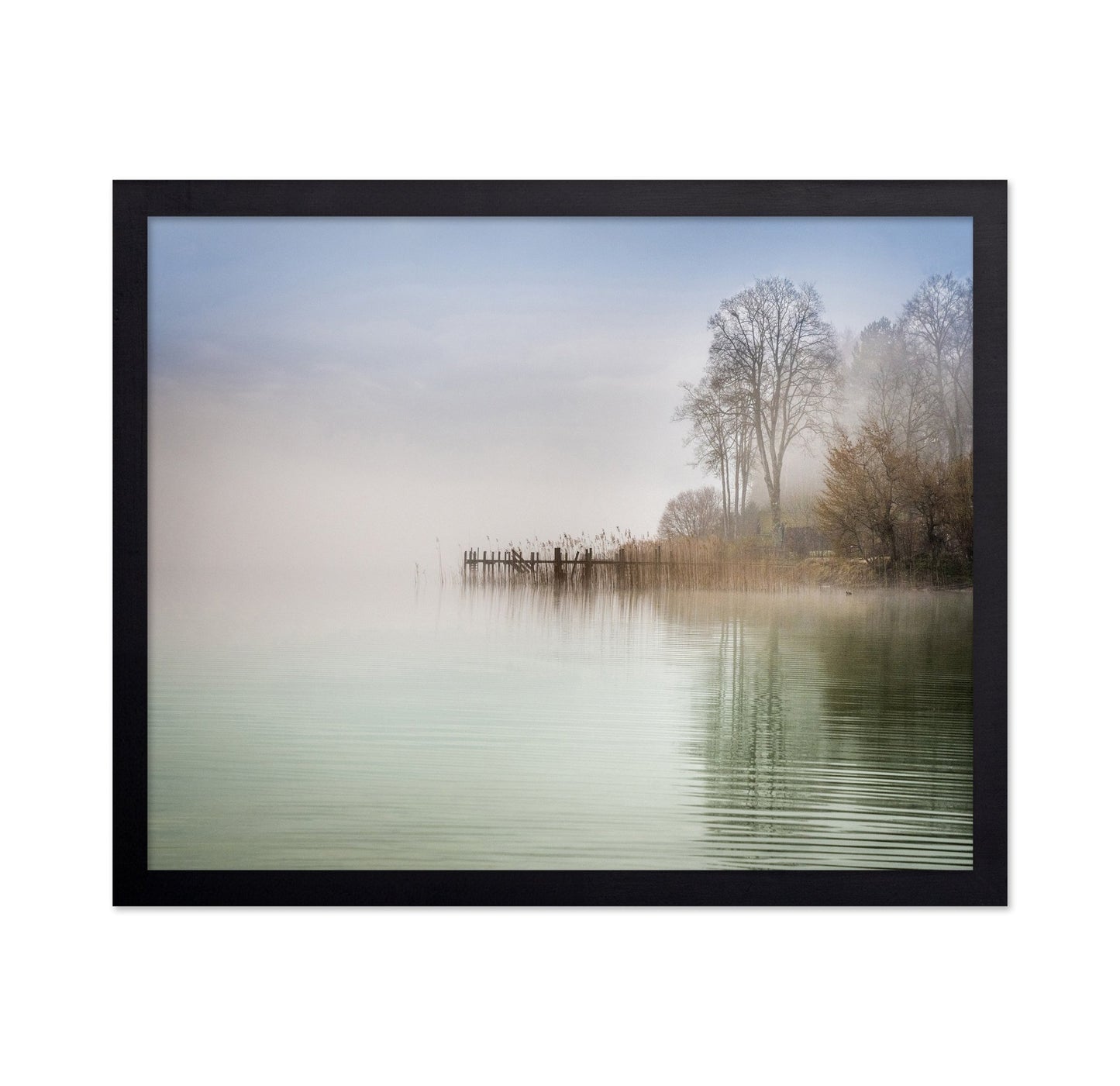 Misty Lake Shore