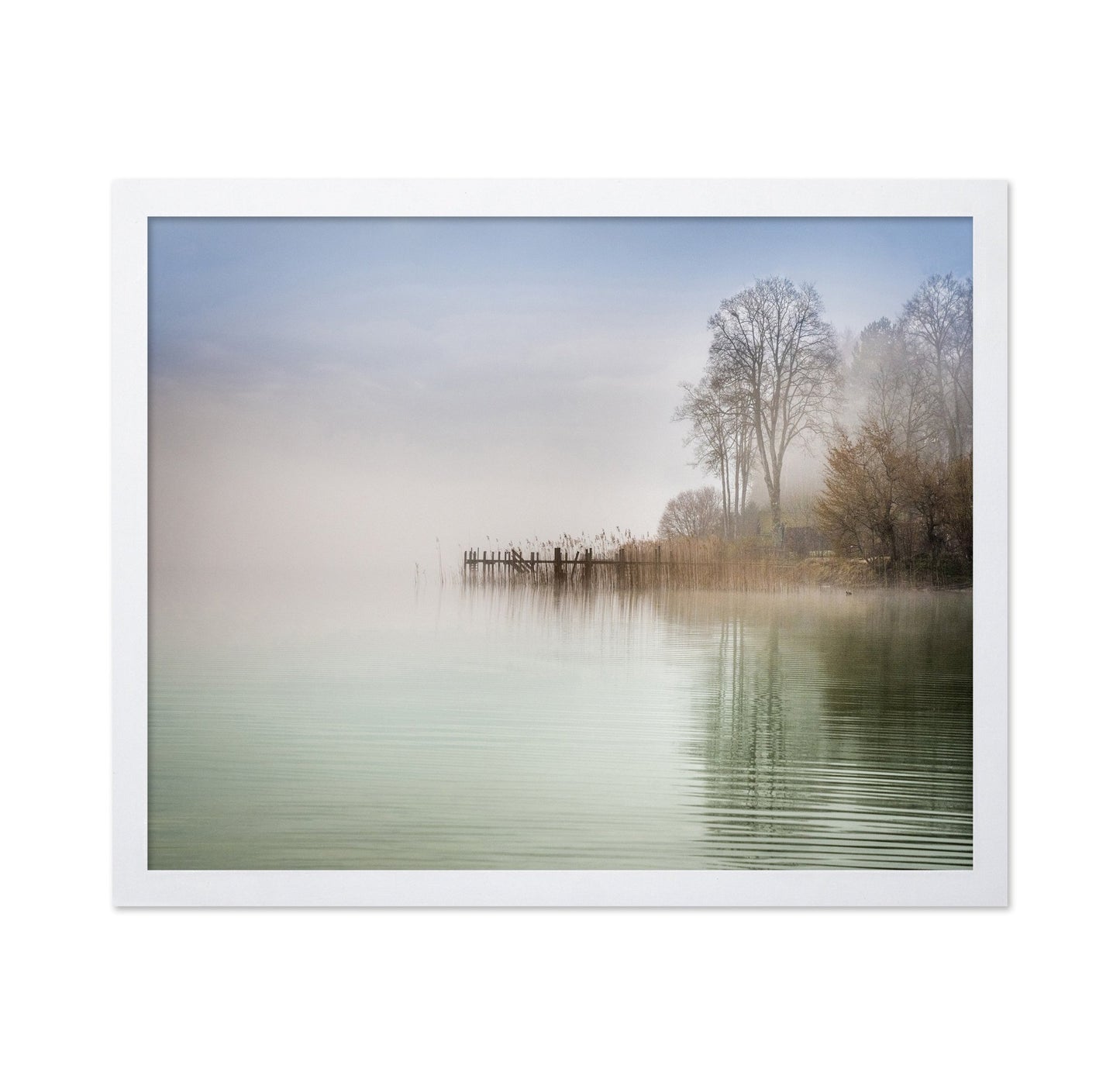 Misty Lake Shore