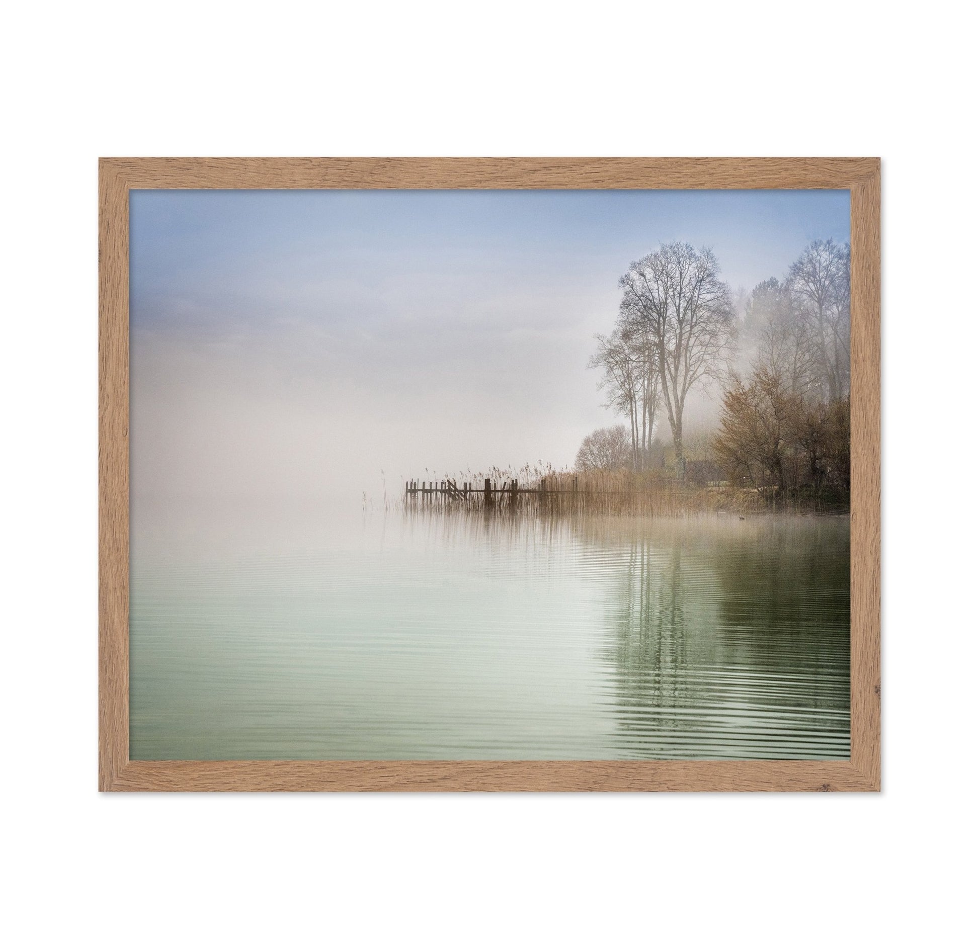 Misty Lake Shore