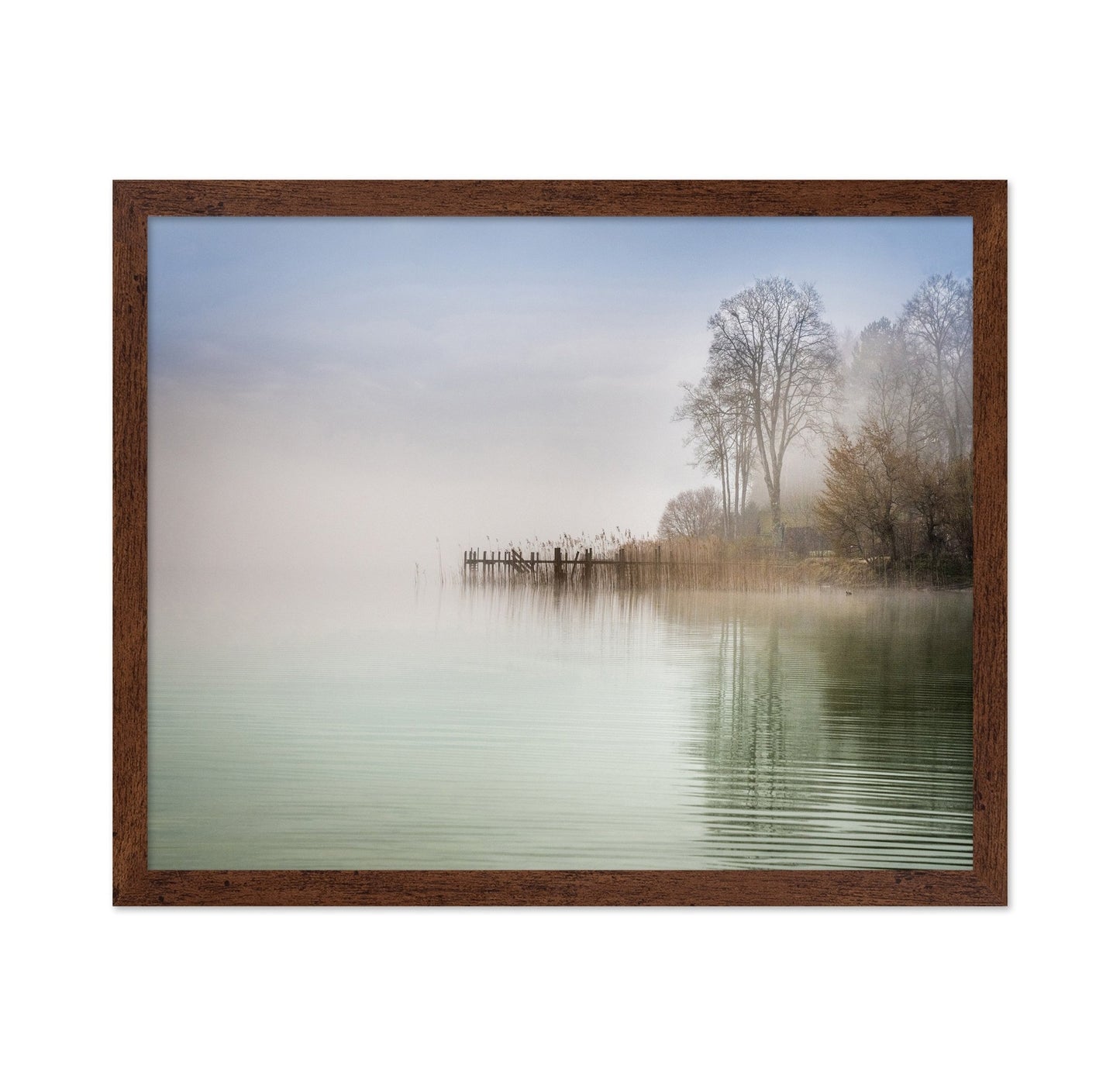Misty Lake Shore