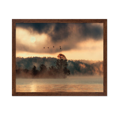 Birds Over Mist Lake