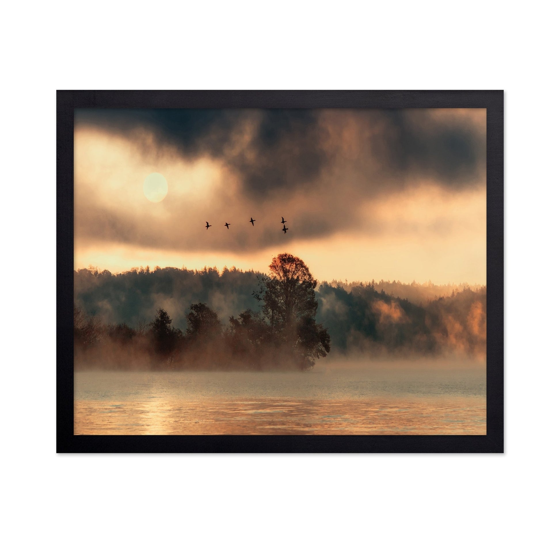 Birds Over Mist Lake
