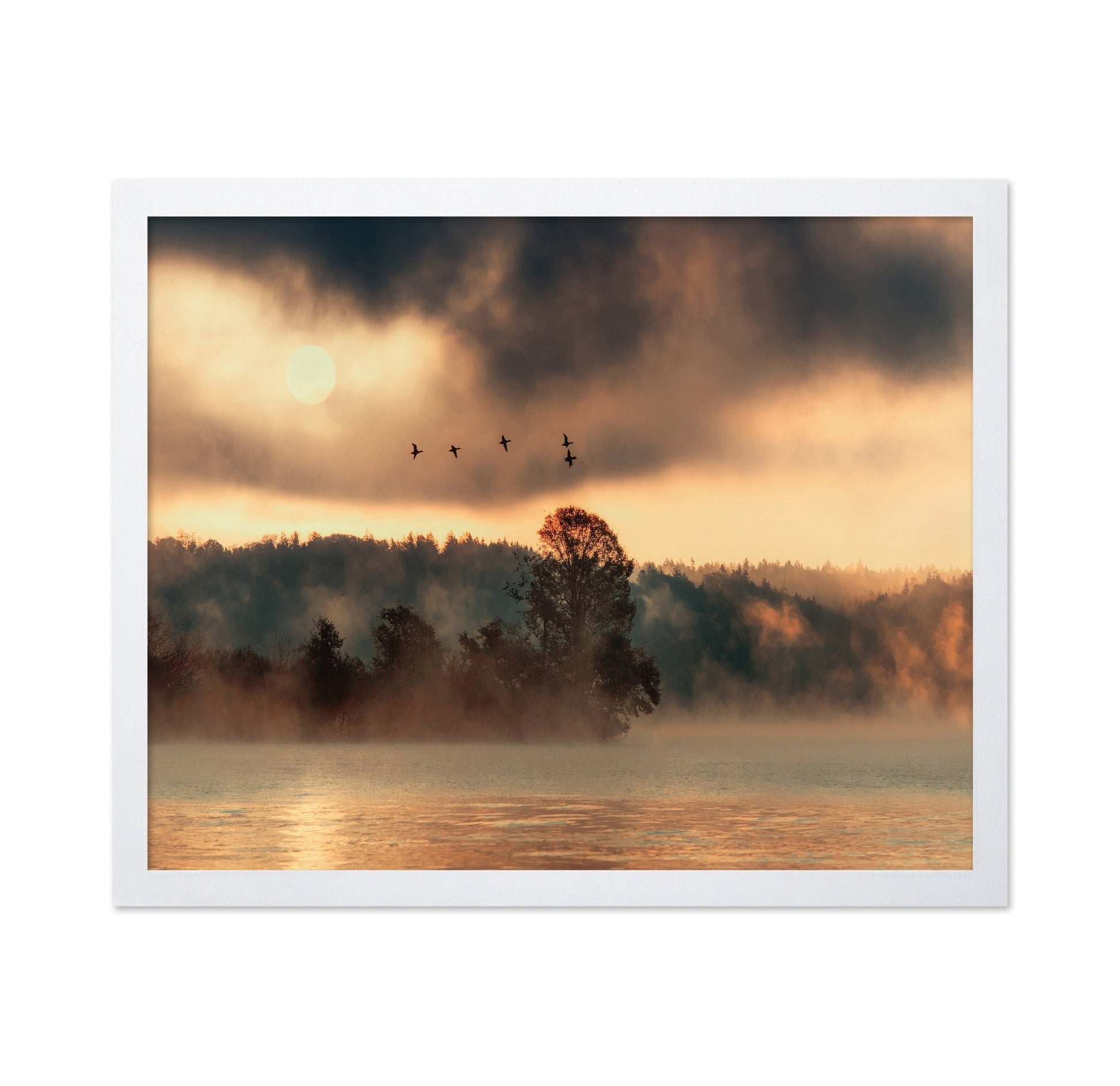 Birds Over Mist Lake