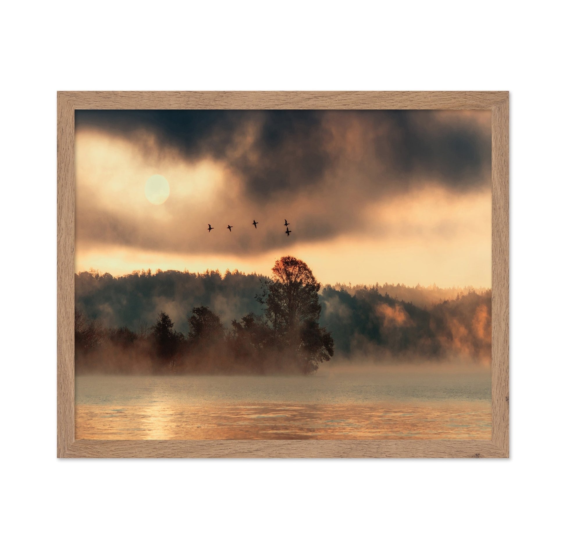 Birds Over Mist Lake